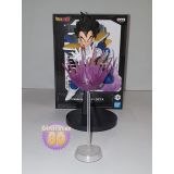 VEGETA GXMATERIA